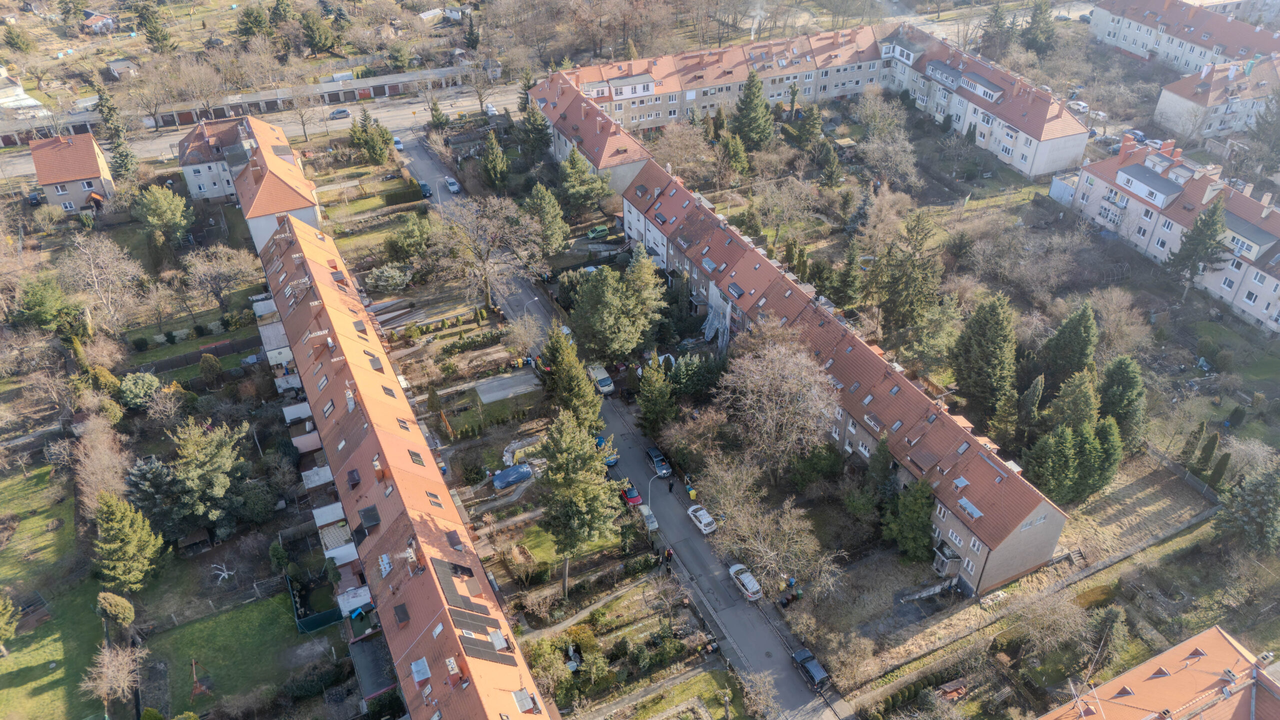 Szereg – Wielka Wyspa – Sępolno – Polecam !